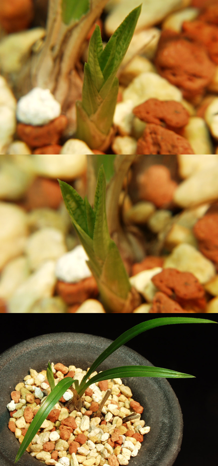 ������ ū������ �� �� �ֽ��ϴ�.