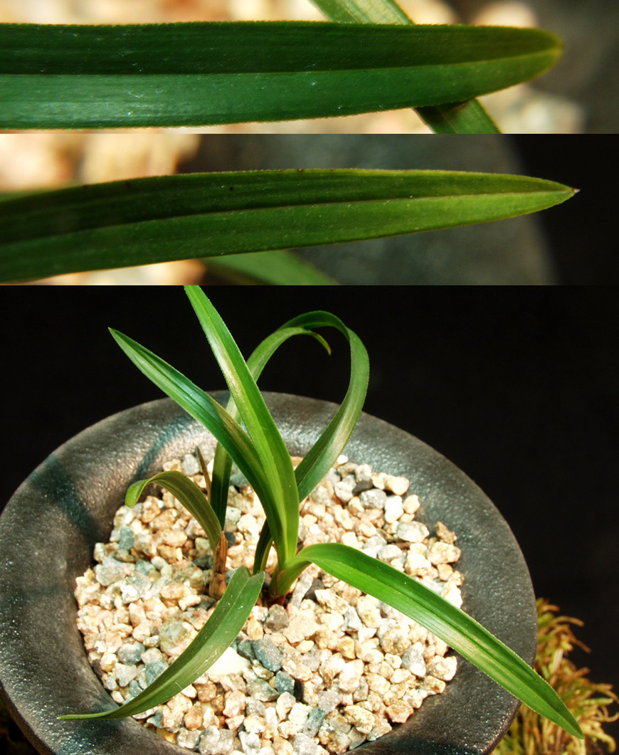 ������ ū������ �� �� �ֽ��ϴ�.