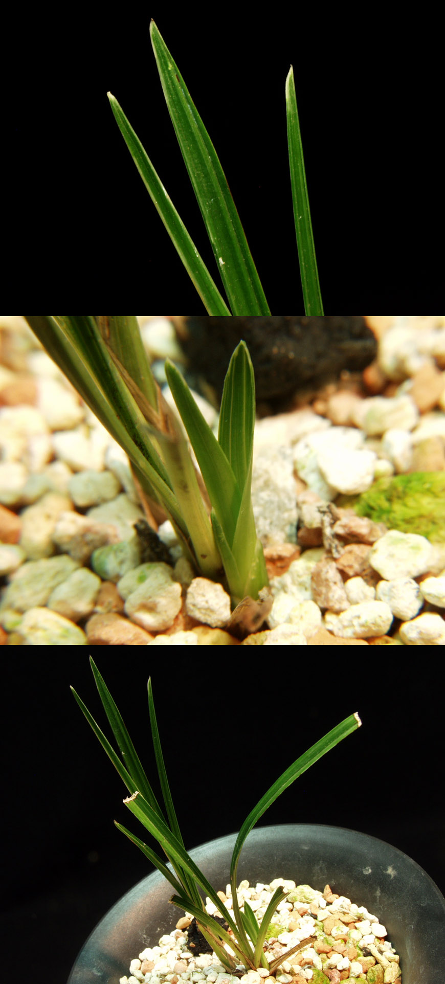 ������ ū������ �� �� �ֽ��ϴ�.