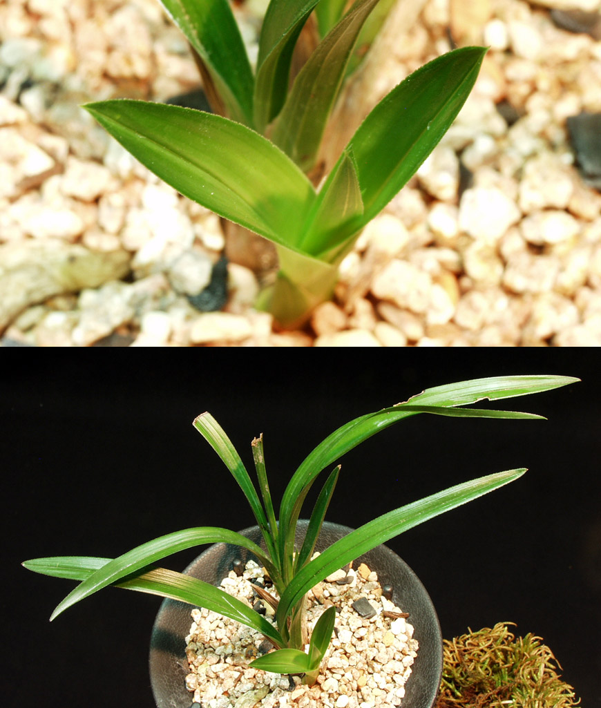 ������ ū������ �� �� �ֽ��ϴ�.