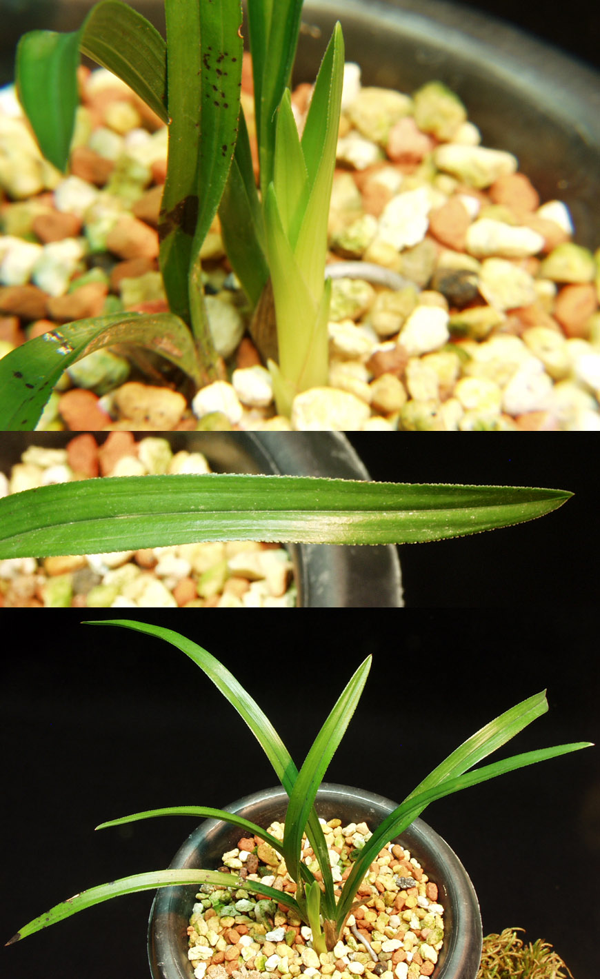 ������ ū������ �� �� �ֽ��ϴ�.