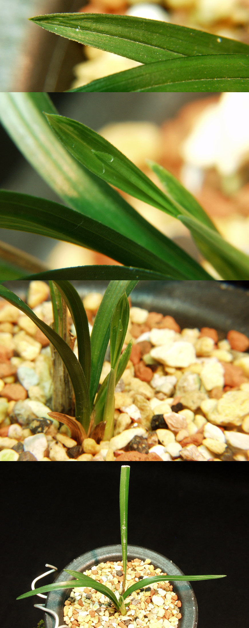 ������ ū������ �� �� �ֽ��ϴ�.