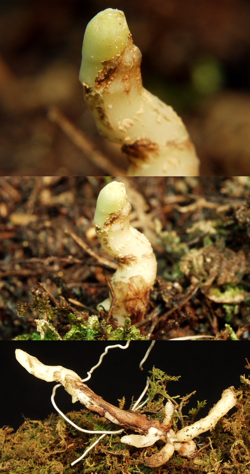 ������ ū������ �� �� �ֽ��ϴ�.