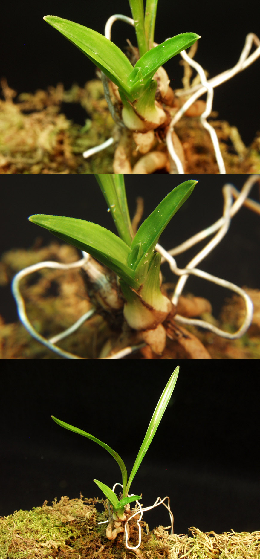 ������ ū������ �� �� �ֽ��ϴ�.