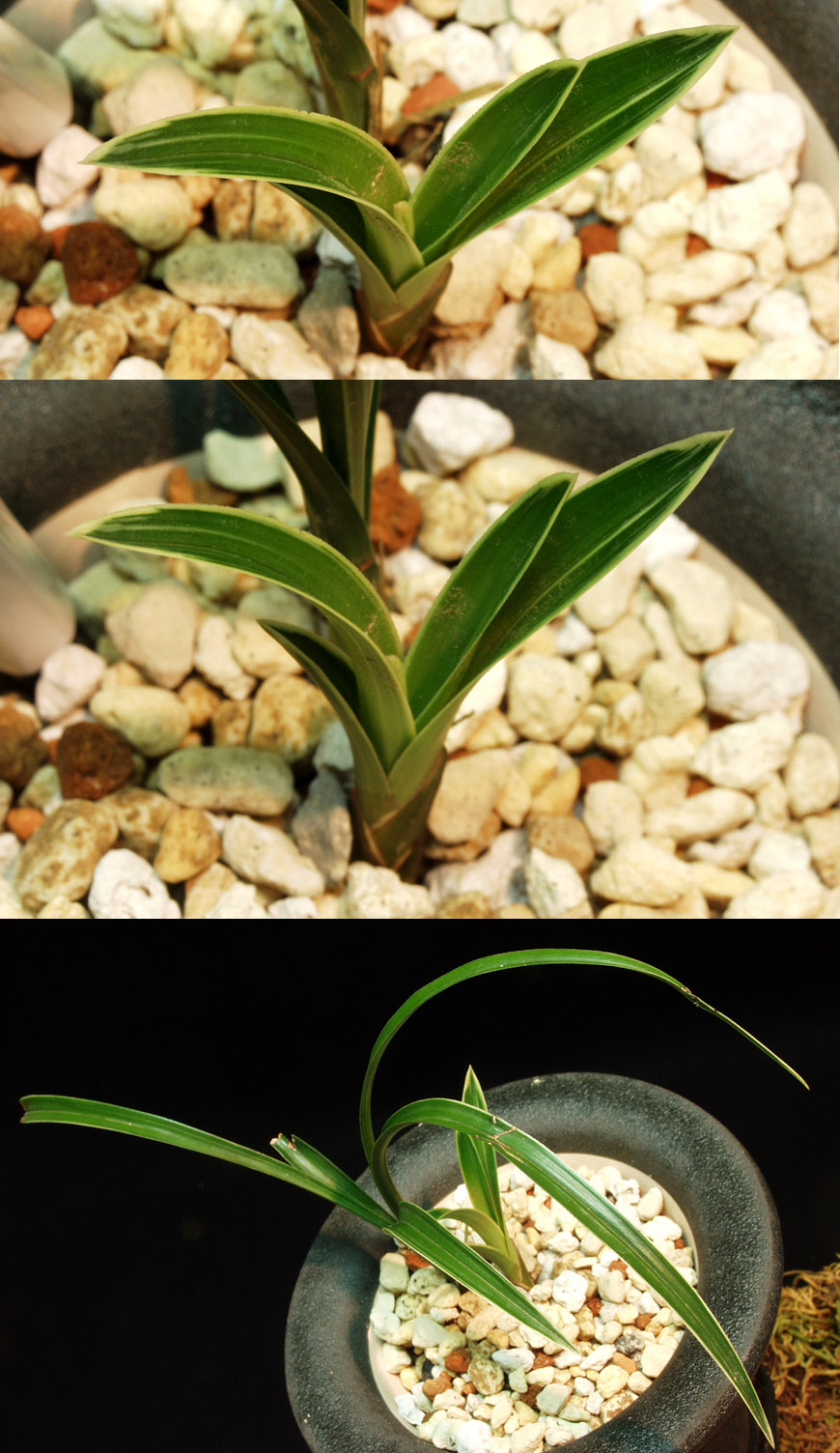 ������ ū������ �� �� �ֽ��ϴ�.