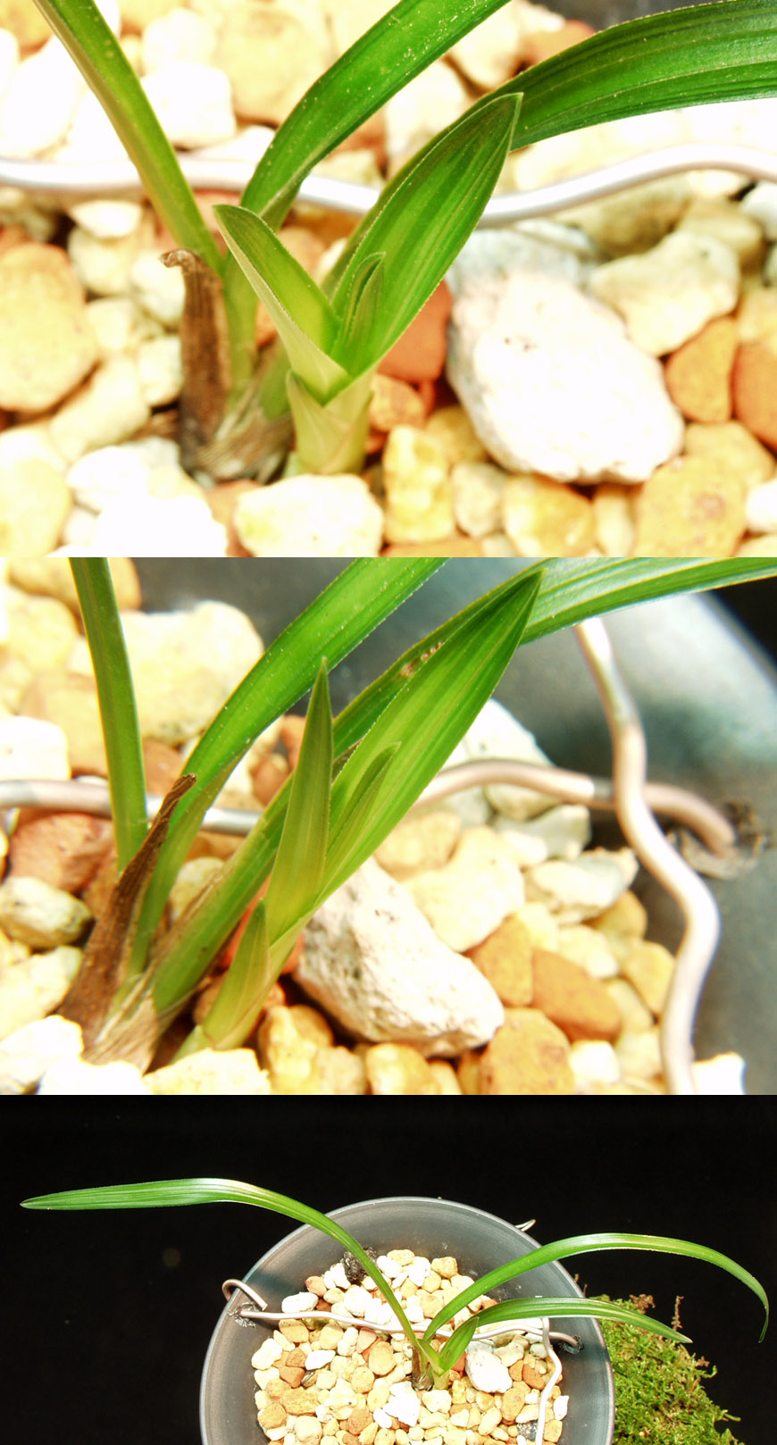 ������ ū������ �� �� �ֽ��ϴ�.