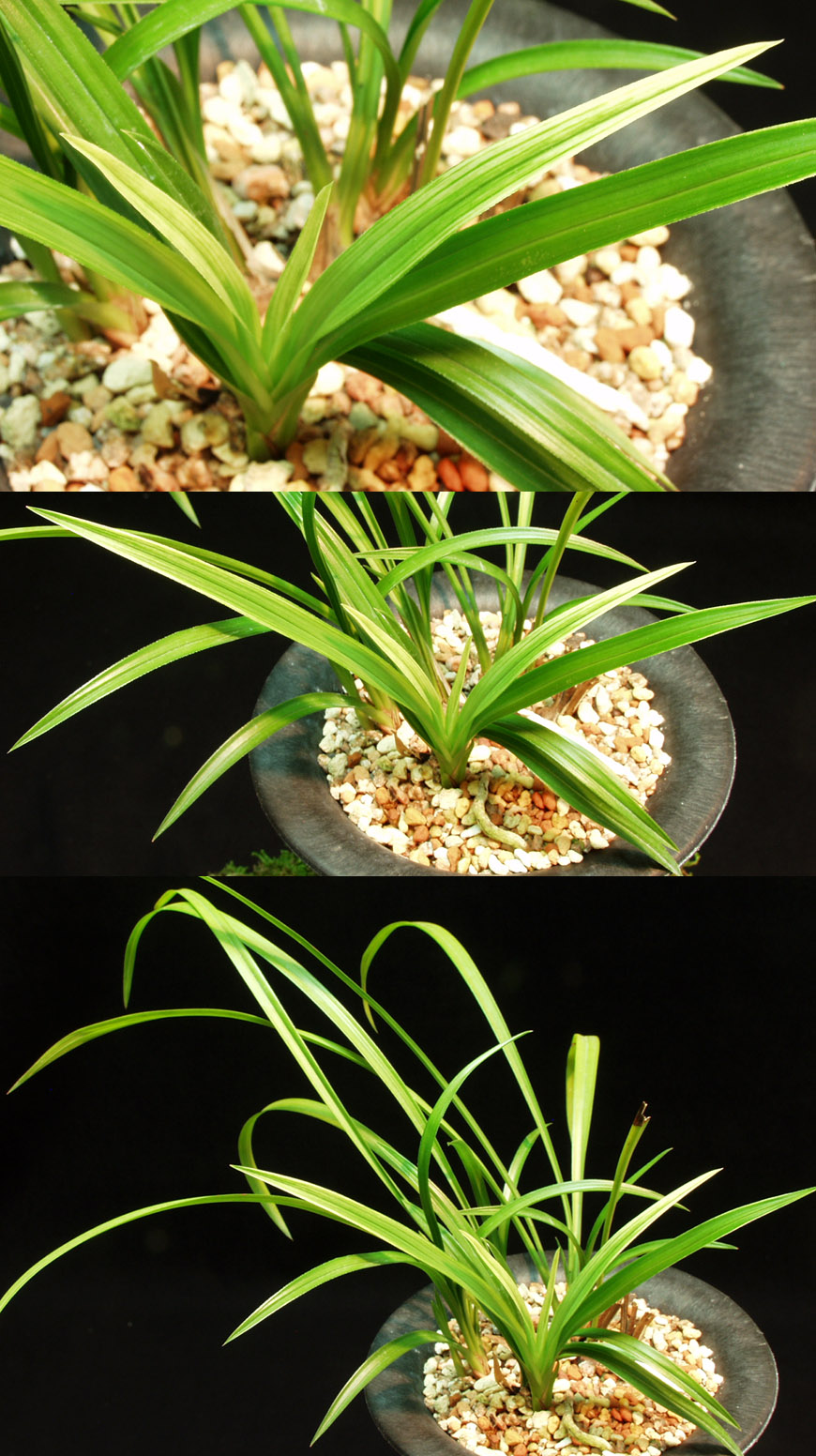 ������ ū������ �� �� �ֽ��ϴ�.