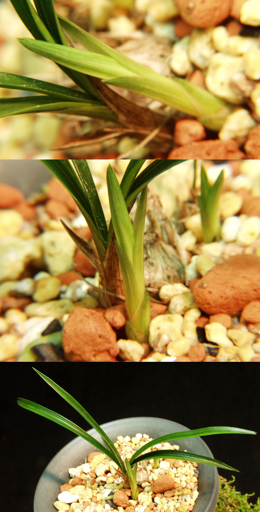 ������ ū������ �� �� �ֽ��ϴ�.