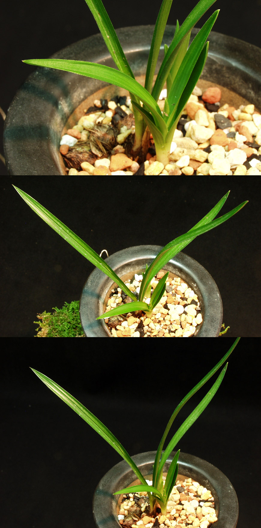 ������ ū������ �� �� �ֽ��ϴ�.