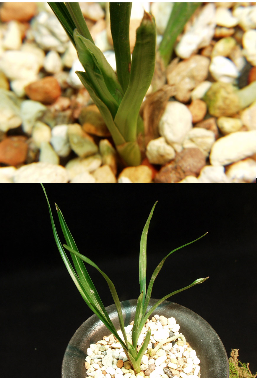 ������ ū������ �� �� �ֽ��ϴ�.