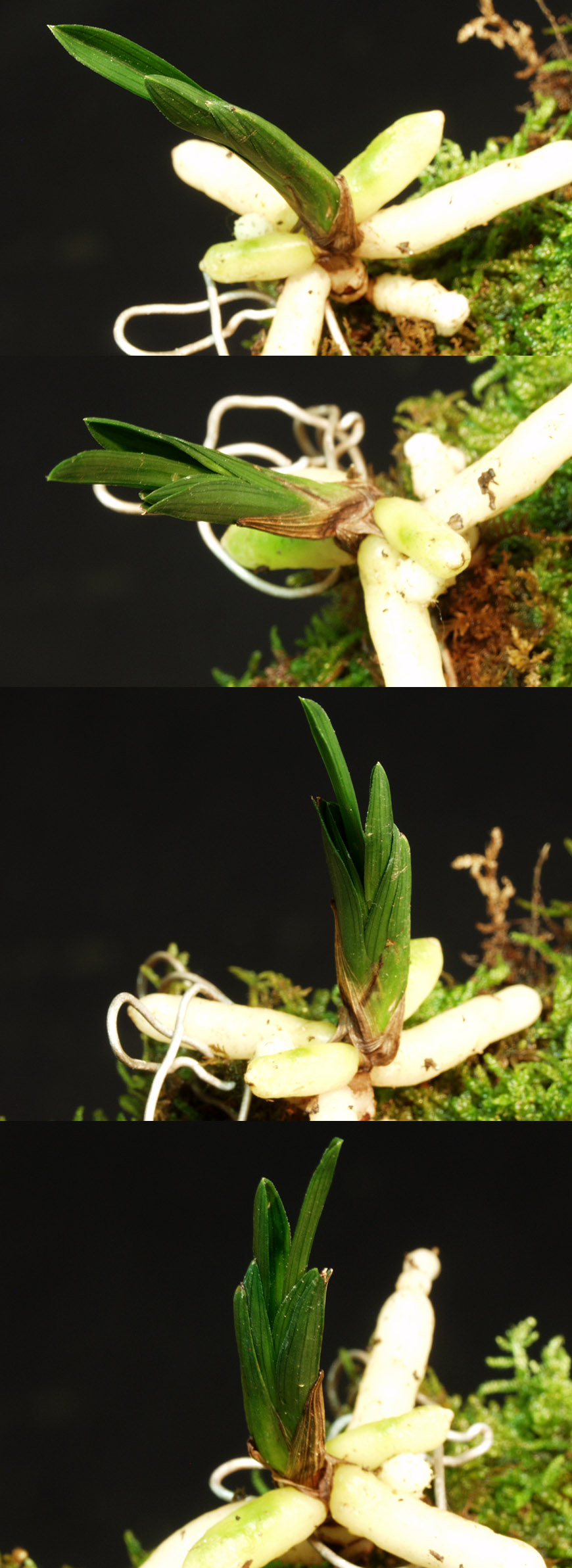 ������ ū������ �� �� �ֽ��ϴ�.