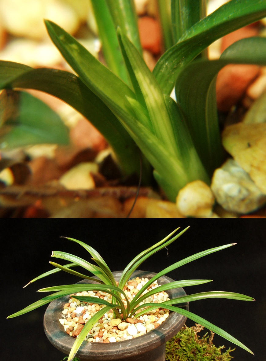 ������ ū������ �� �� �ֽ��ϴ�.