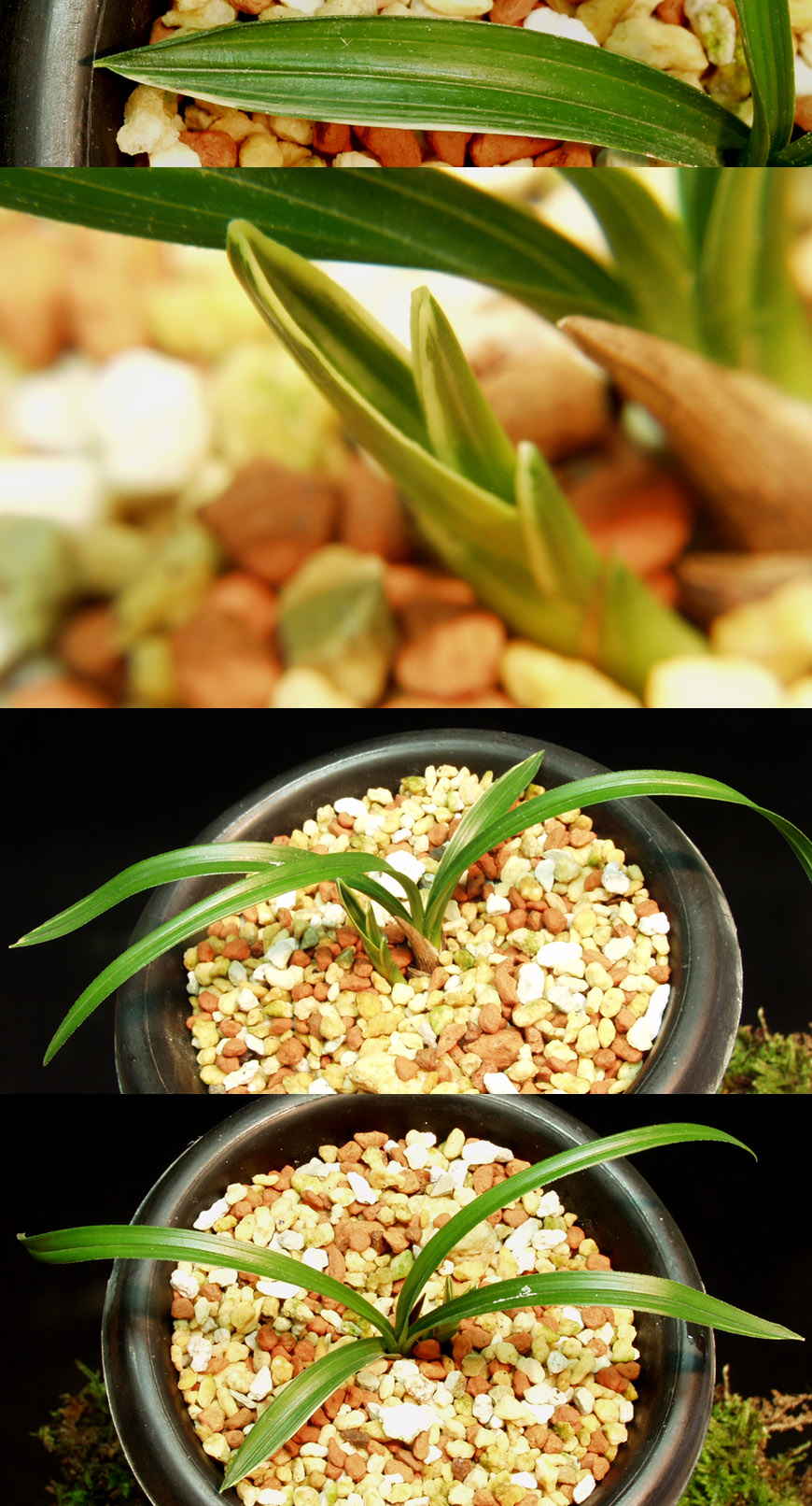 ������ ū������ �� �� �ֽ��ϴ�.