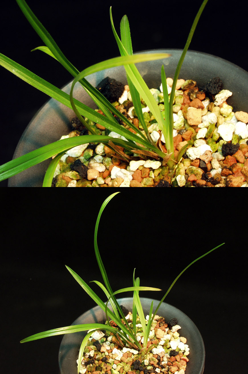 ������ ū������ �� �� �ֽ��ϴ�.