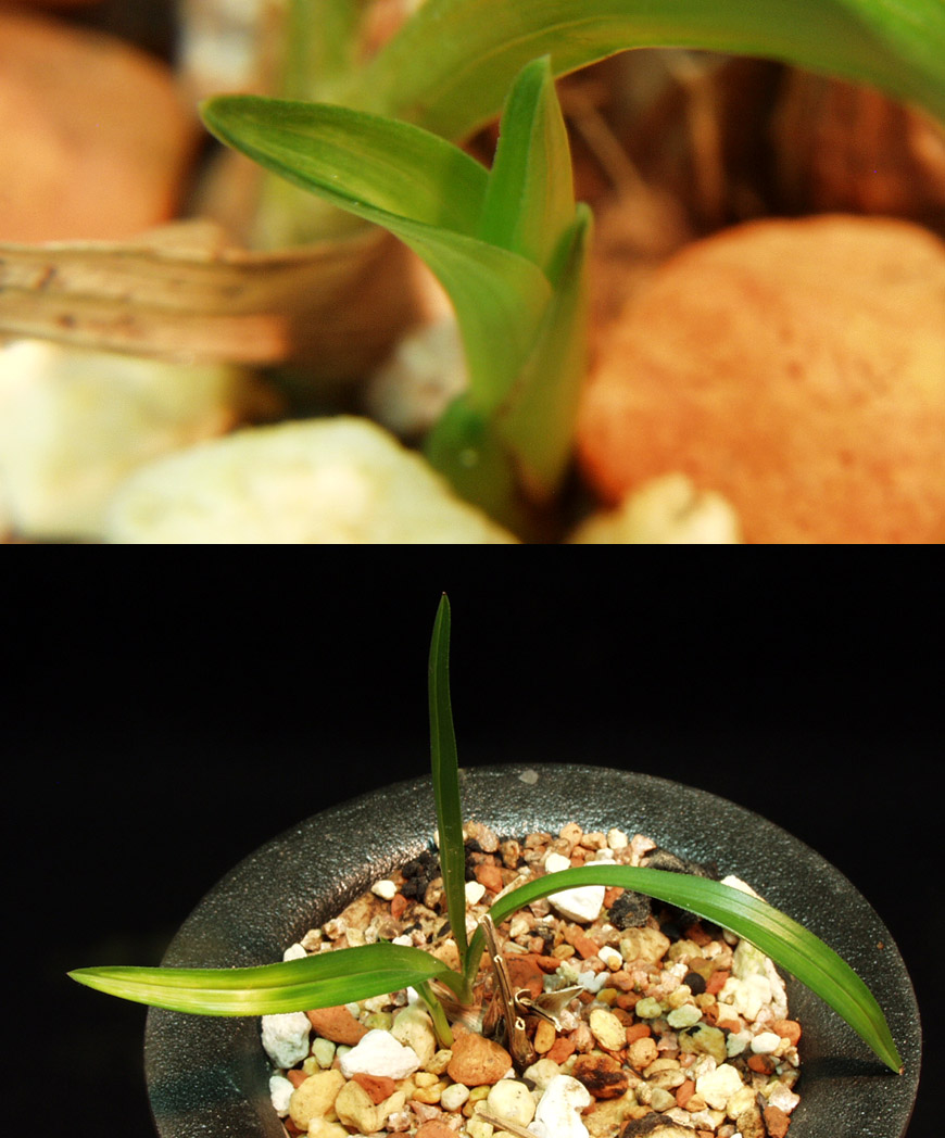 ������ ū������ �� �� �ֽ��ϴ�.