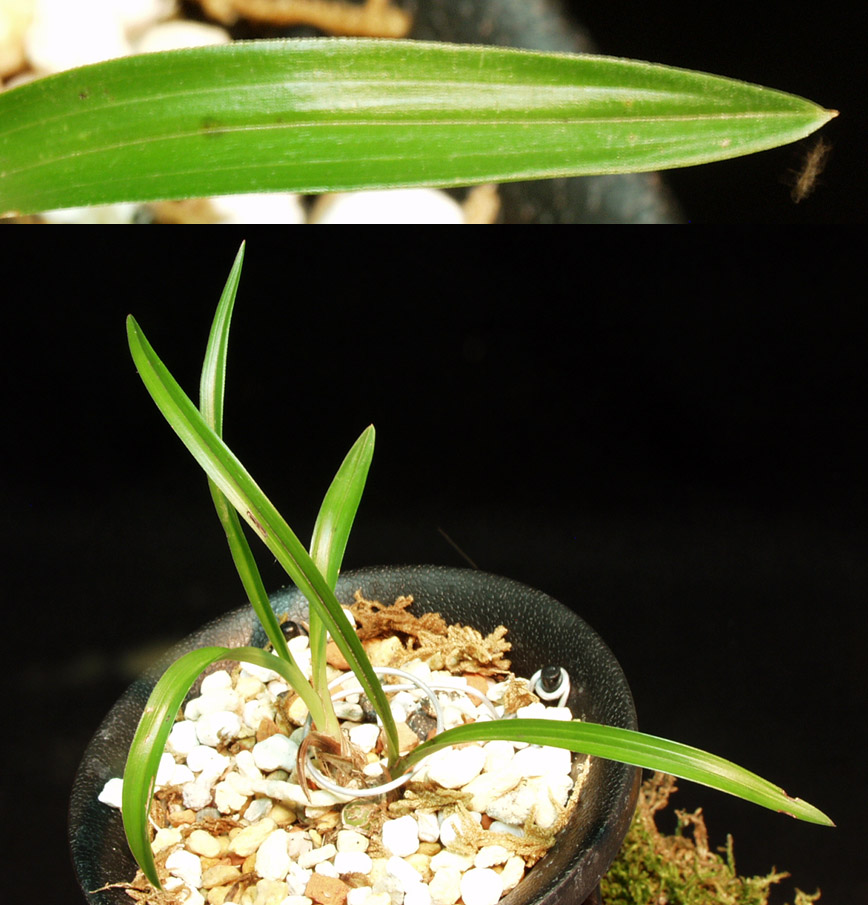 ������ ū������ �� �� �ֽ��ϴ�.