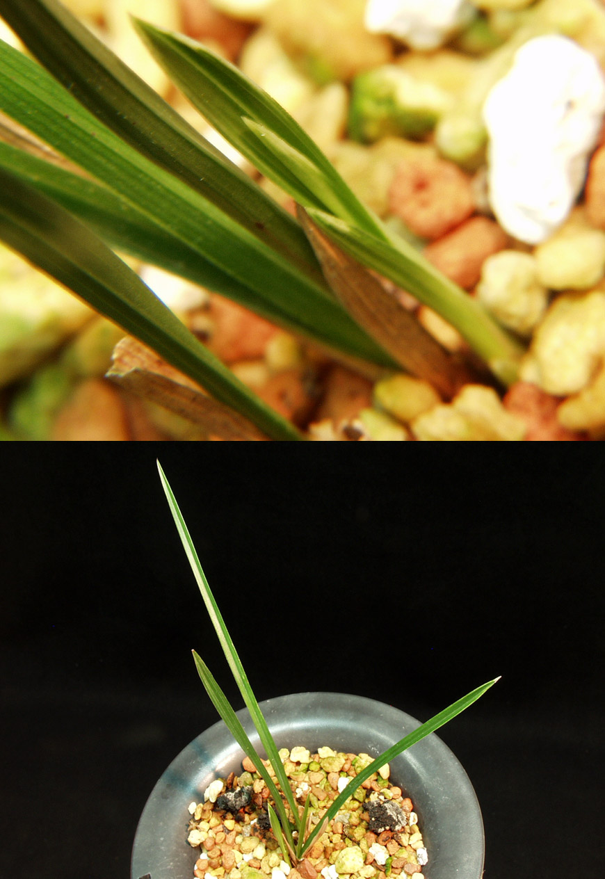 ������ ū������ �� �� �ֽ��ϴ�.