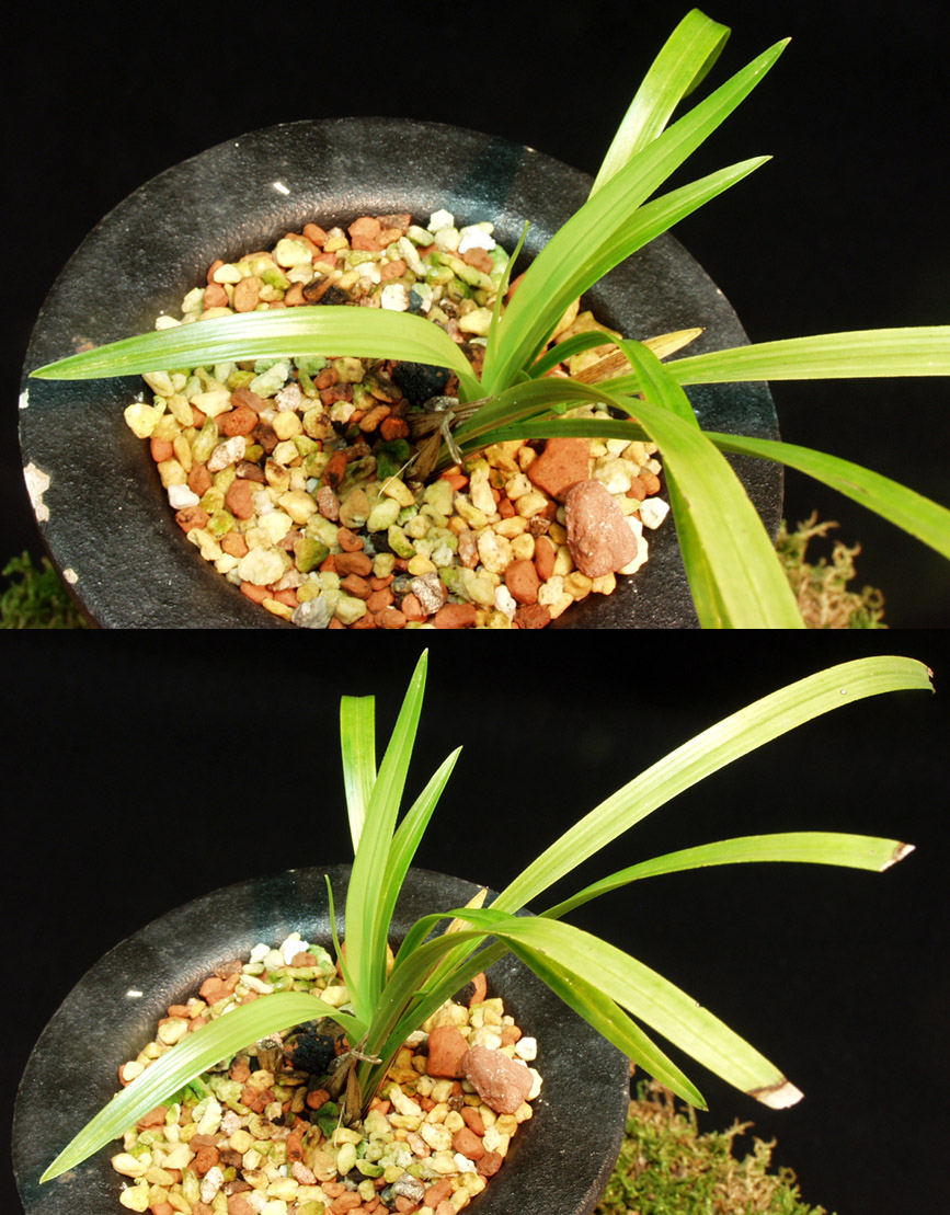 ������ ū������ �� �� �ֽ��ϴ�.