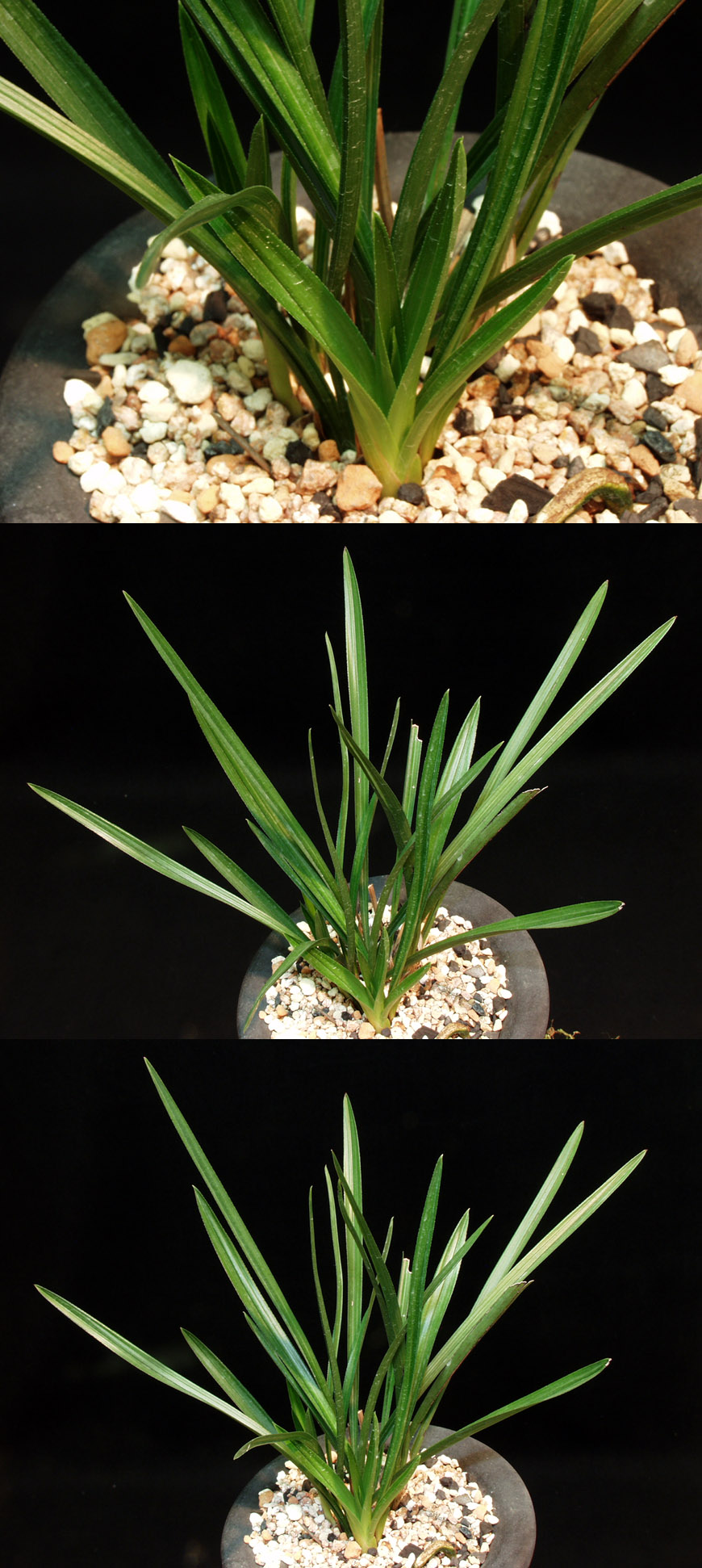 ������ ū������ �� �� �ֽ��ϴ�.