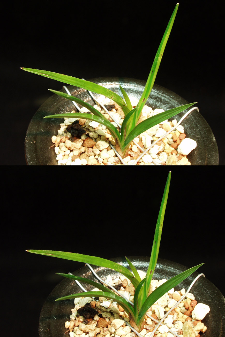 ������ ū������ �� �� �ֽ��ϴ�.