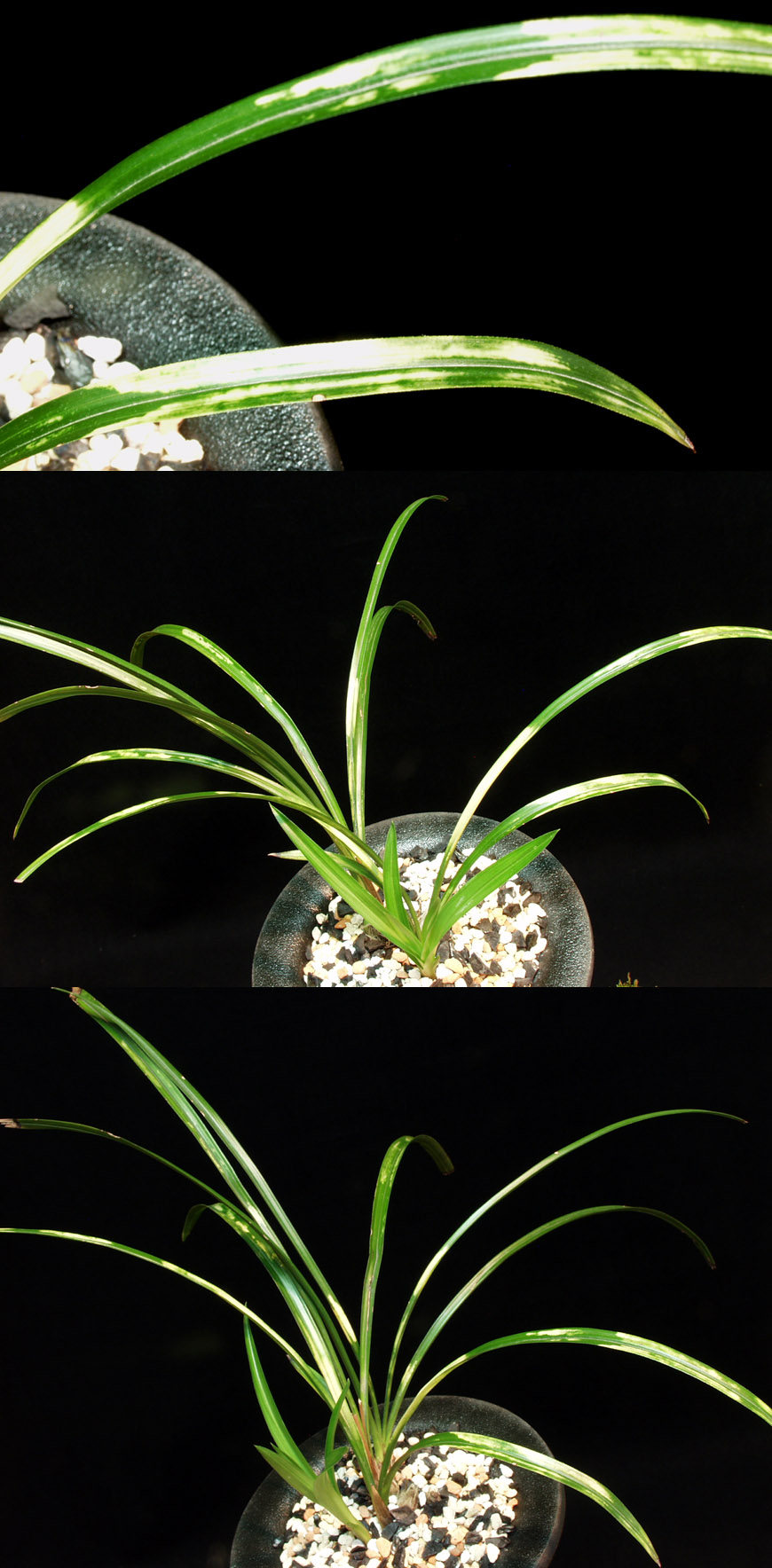 ������ ū������ �� �� �ֽ��ϴ�.