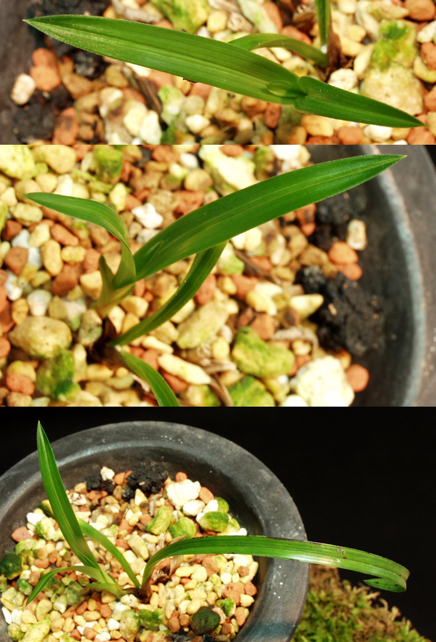 ������ ū������ �� �� �ֽ��ϴ�.