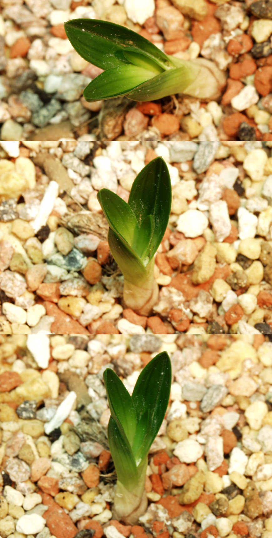 ������ ū������ �� �� �ֽ��ϴ�.