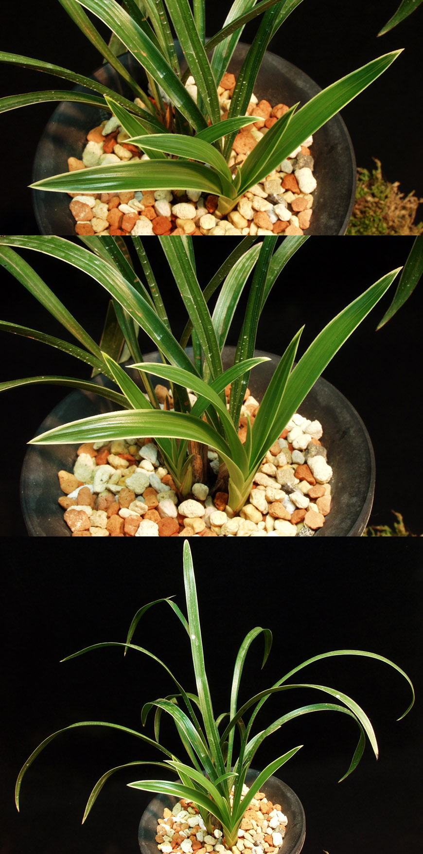 ������ ū������ �� �� �ֽ��ϴ�.