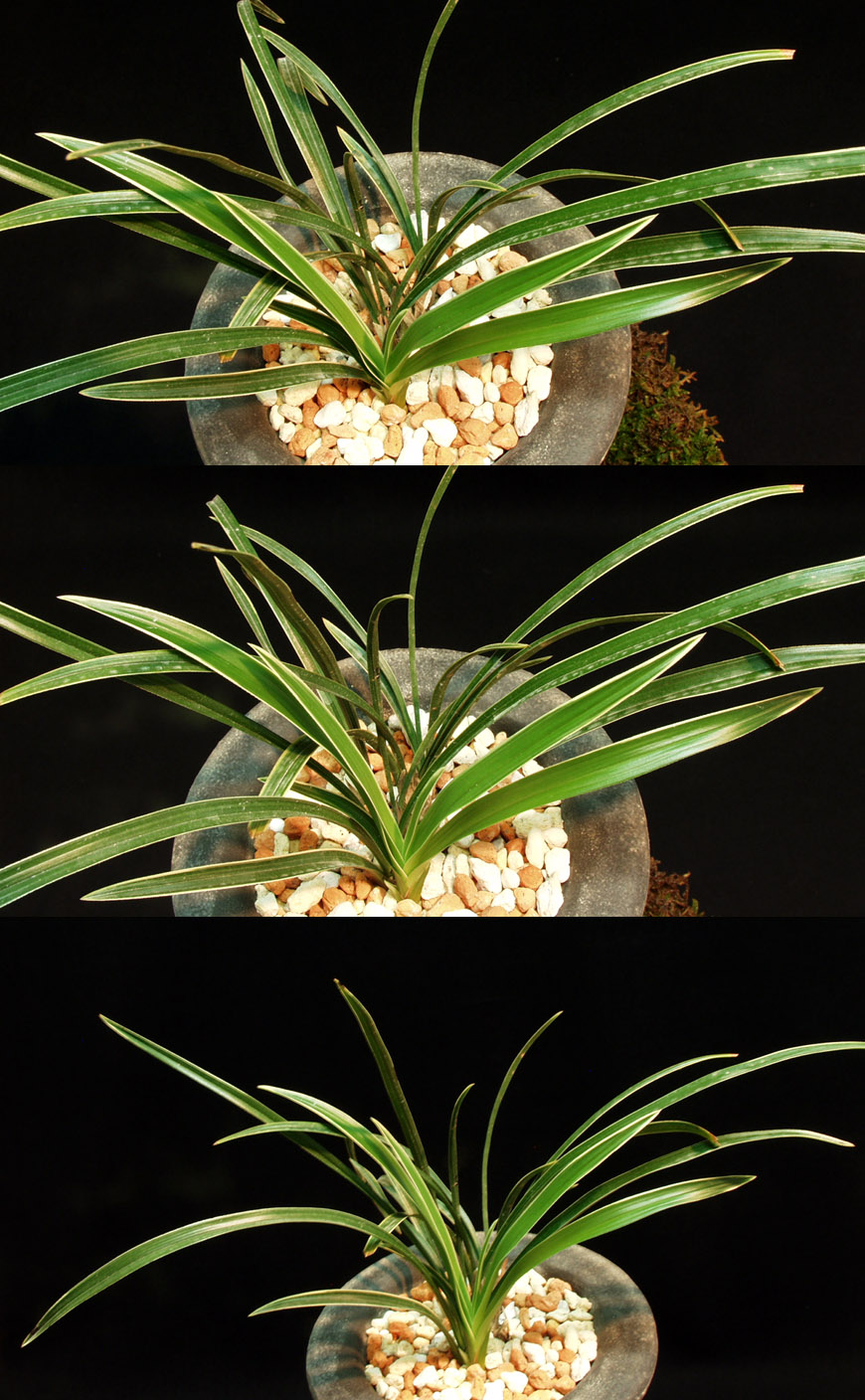 ������ ū������ �� �� �ֽ��ϴ�.