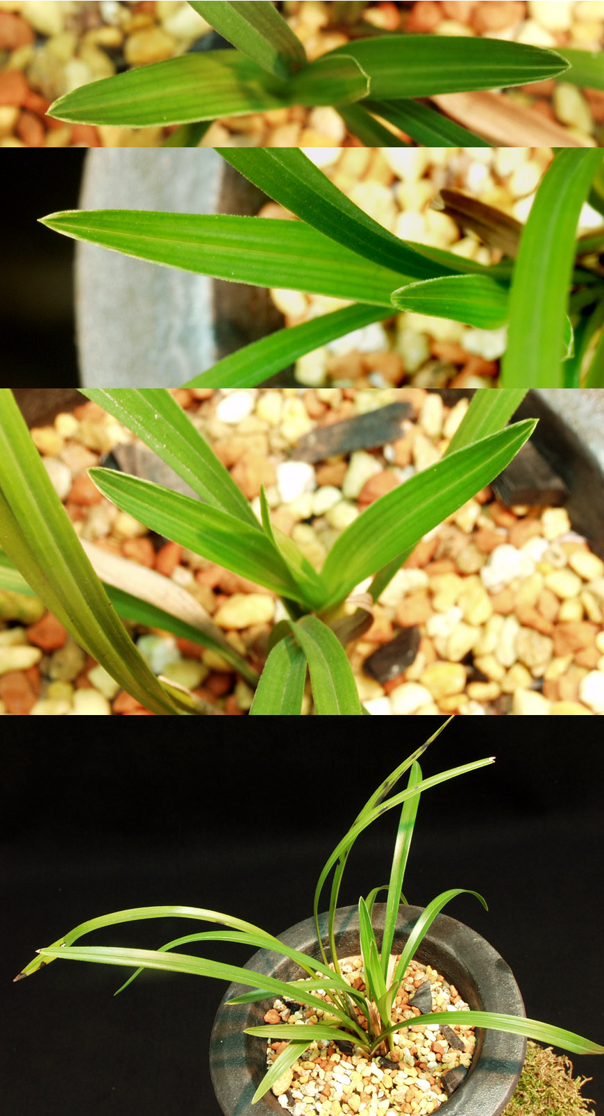 ������ ū������ �� �� �ֽ��ϴ�.