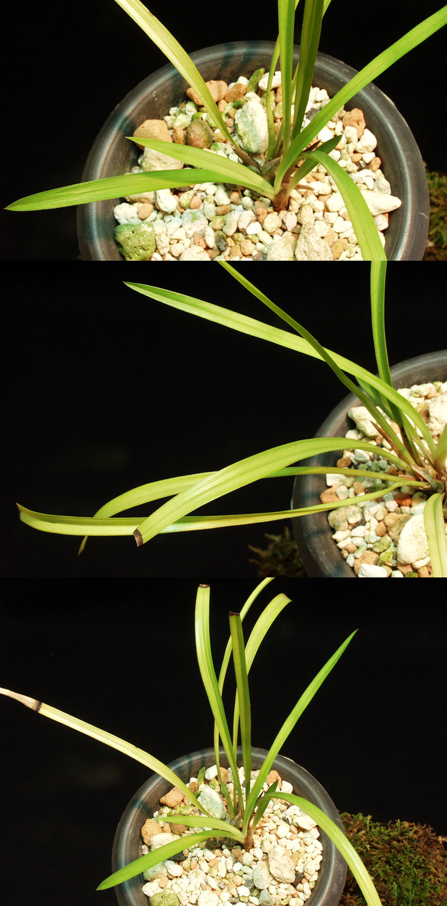 ������ ū������ �� �� �ֽ��ϴ�.