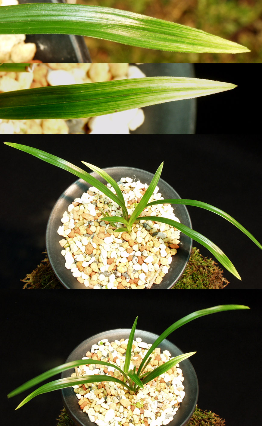 ������ ū������ �� �� �ֽ��ϴ�.