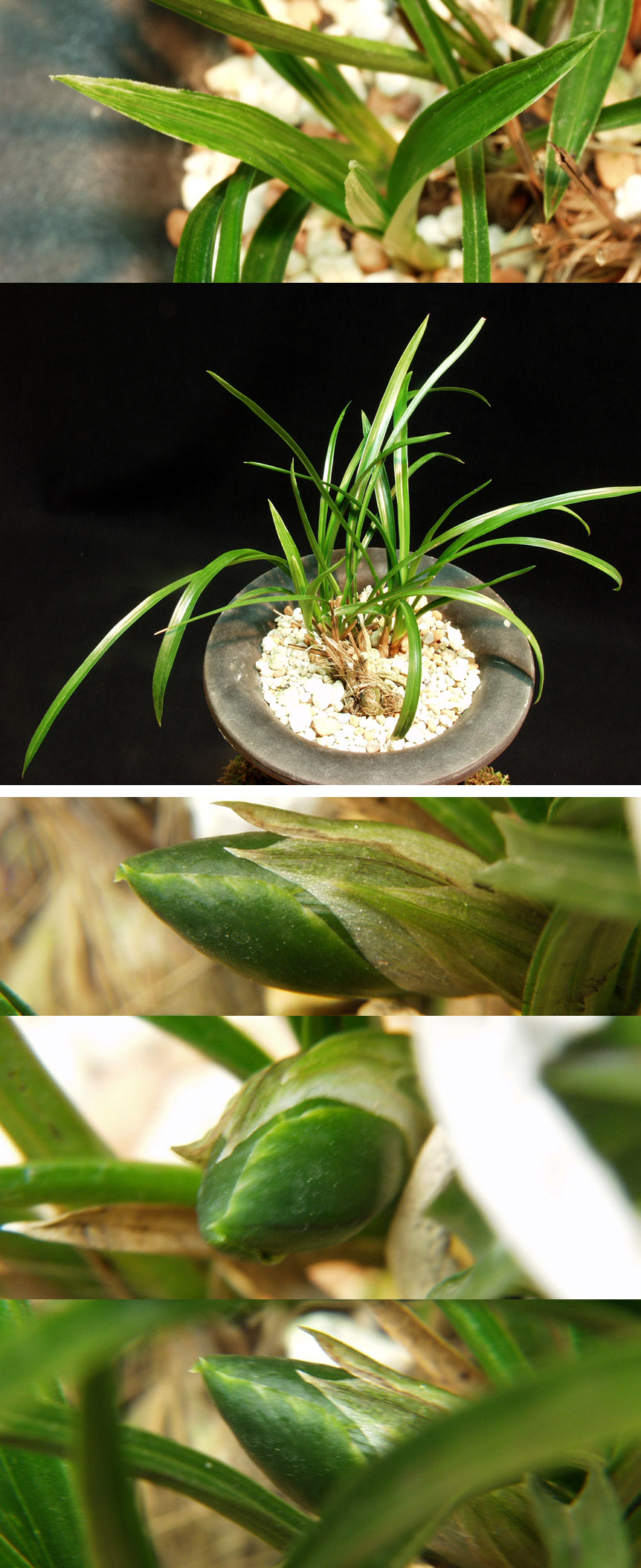 ������ ū������ �� �� �ֽ��ϴ�.