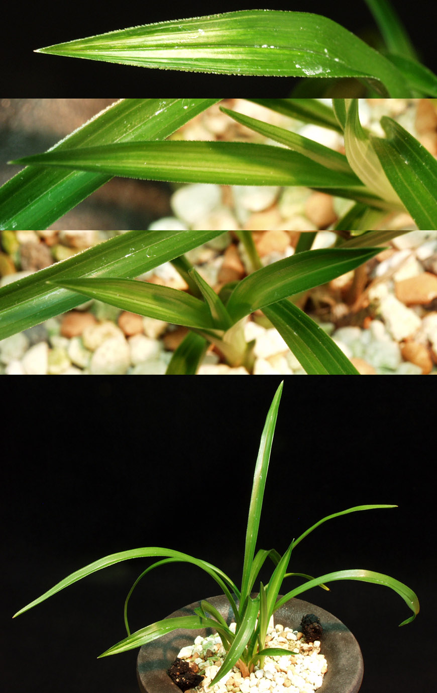 ������ ū������ �� �� �ֽ��ϴ�.