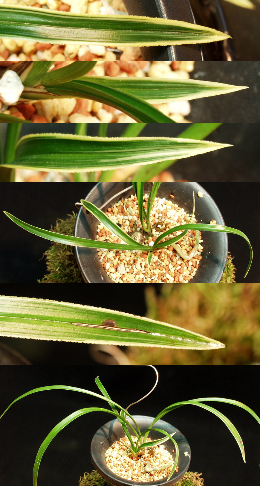 ������ ū������ �� �� �ֽ��ϴ�.