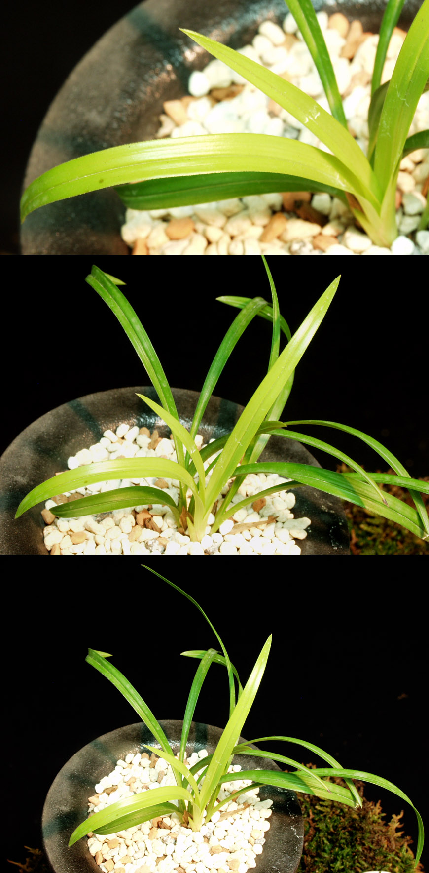 ������ ū������ �� �� �ֽ��ϴ�.