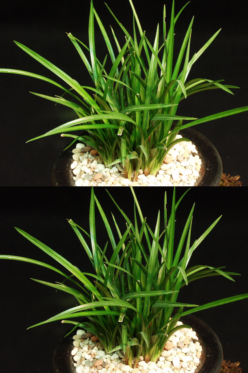 ������ ū������ �� �� �ֽ��ϴ�.