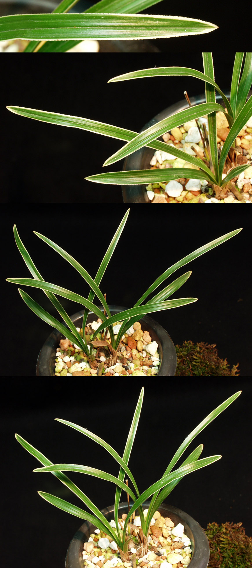 ������ ū������ �� �� �ֽ��ϴ�.