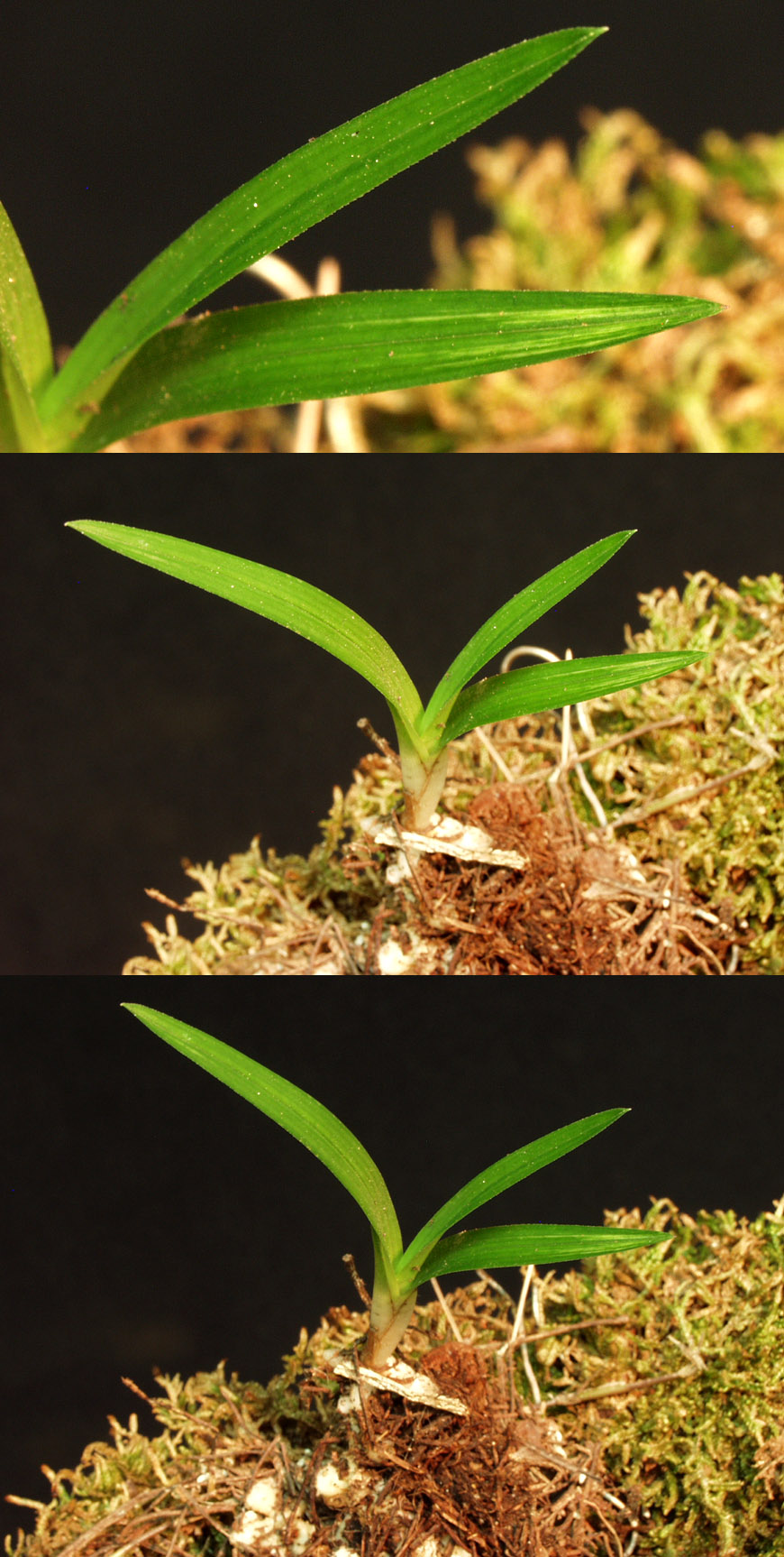 ������ ū������ �� �� �ֽ��ϴ�.