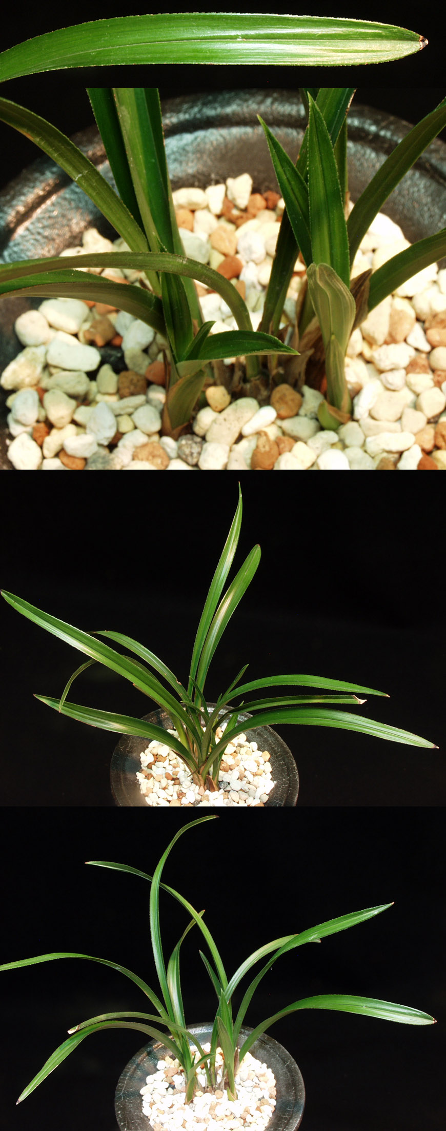 ������ ū������ �� �� �ֽ��ϴ�.