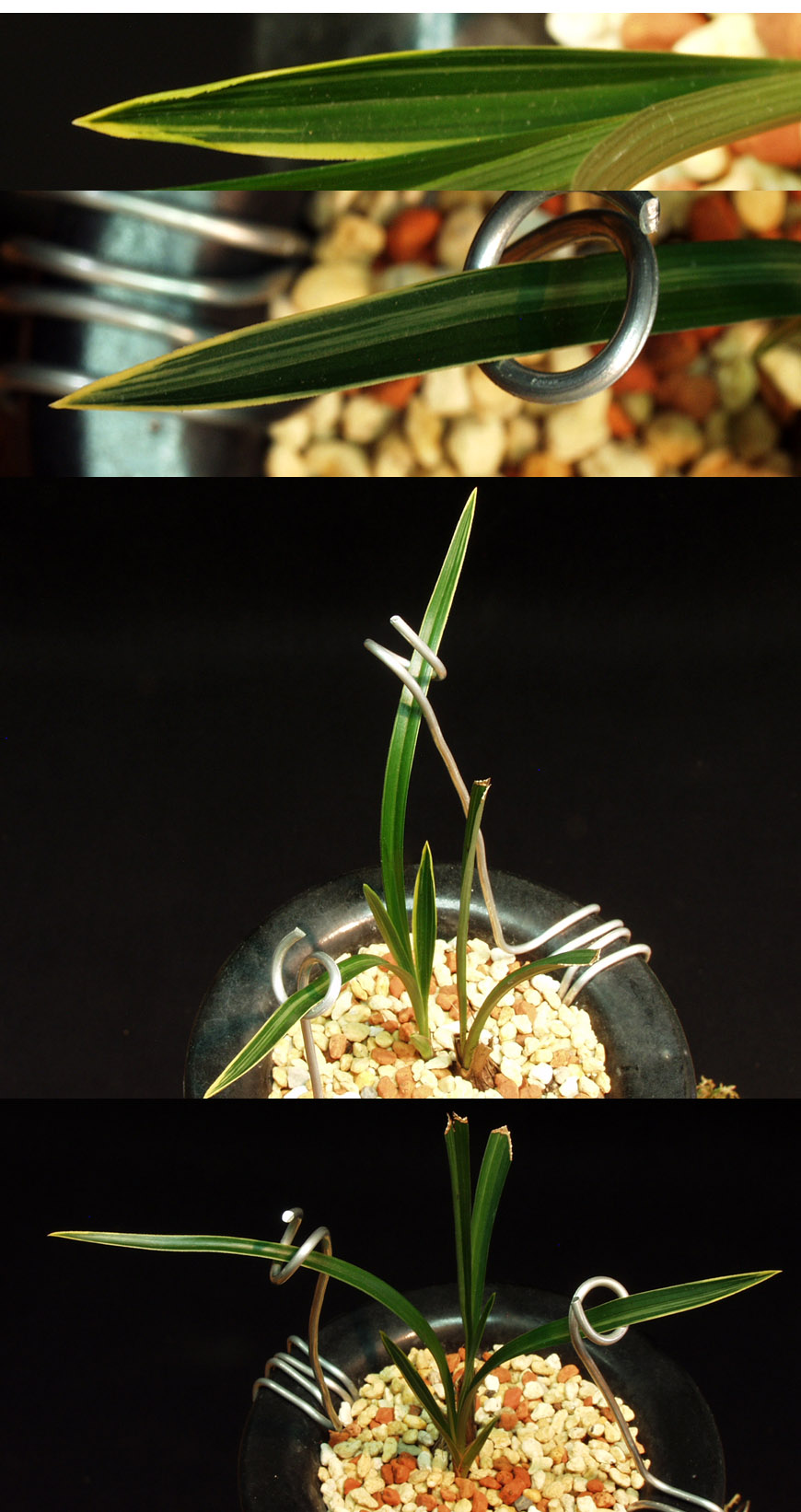 ������ ū������ �� �� �ֽ��ϴ�.