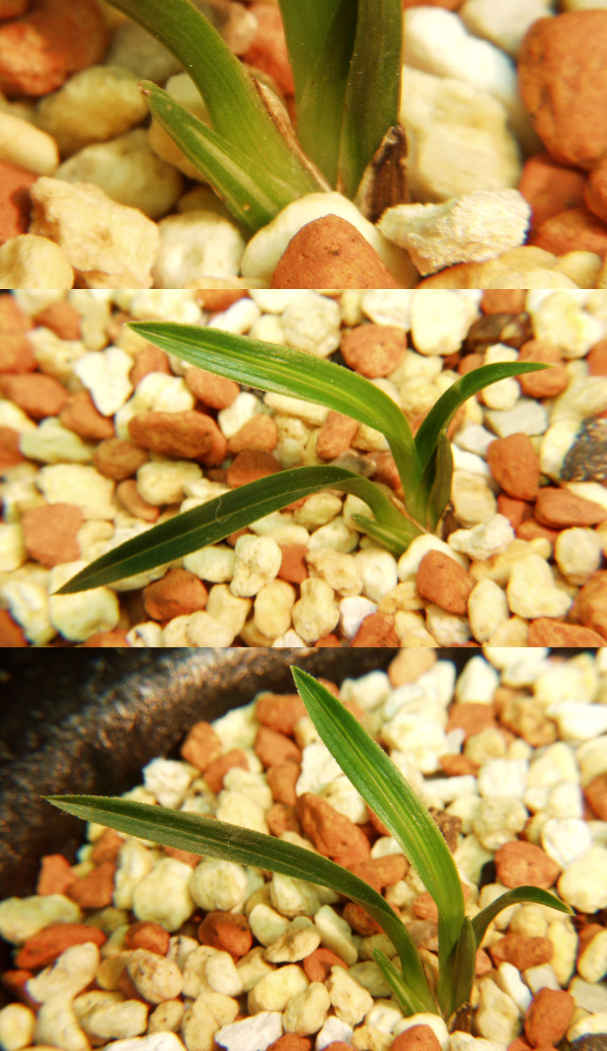 ������ ū������ �� �� �ֽ��ϴ�.