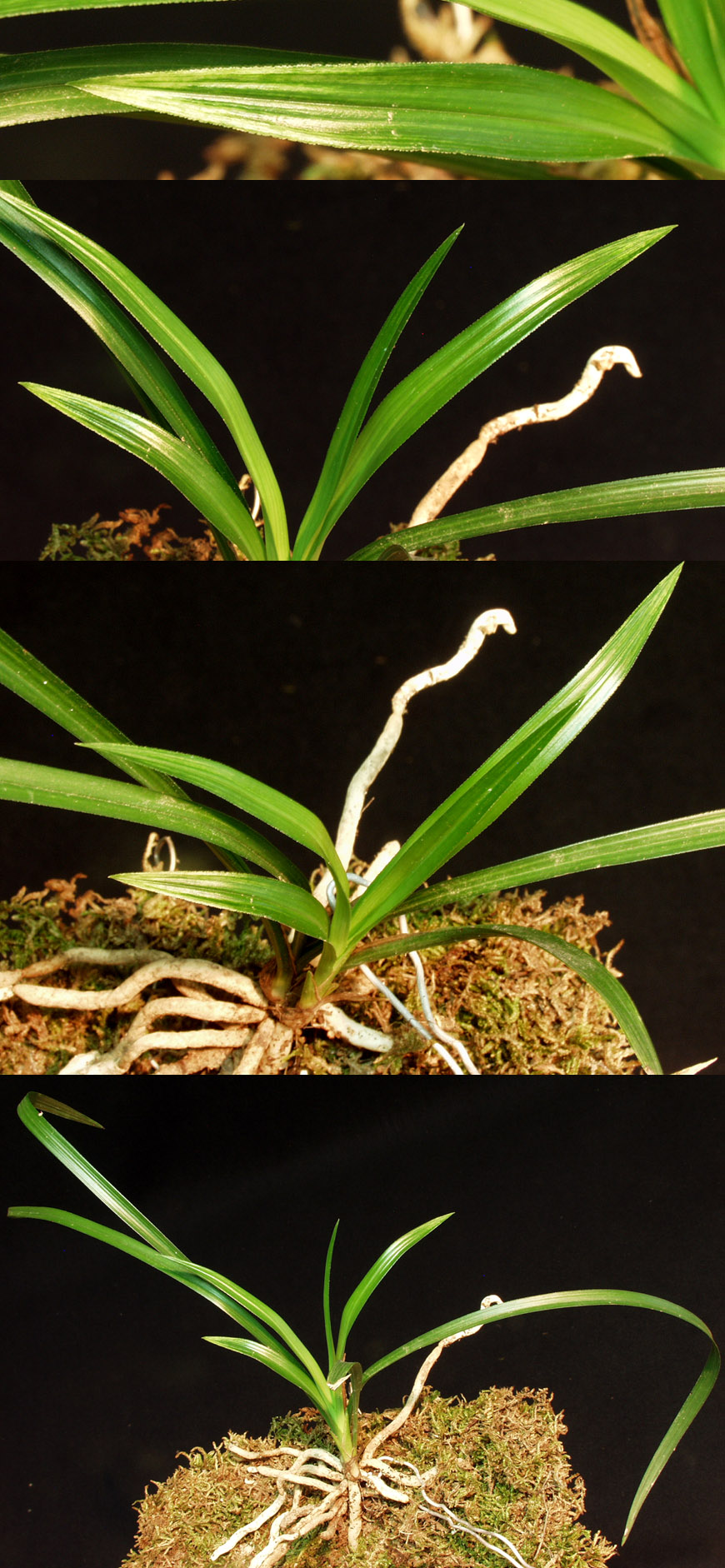 ������ ū������ �� �� �ֽ��ϴ�.