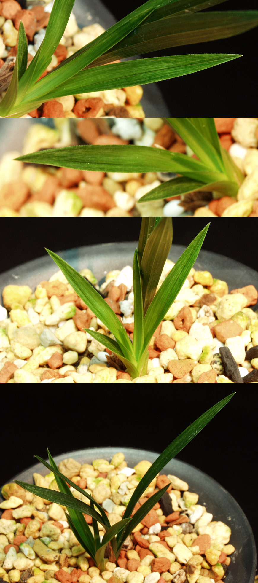 ������ ū������ �� �� �ֽ��ϴ�.