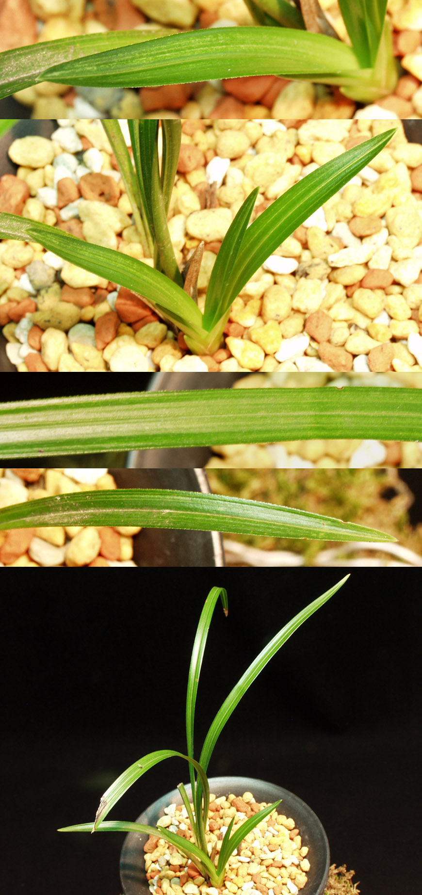 ������ ū������ �� �� �ֽ��ϴ�.