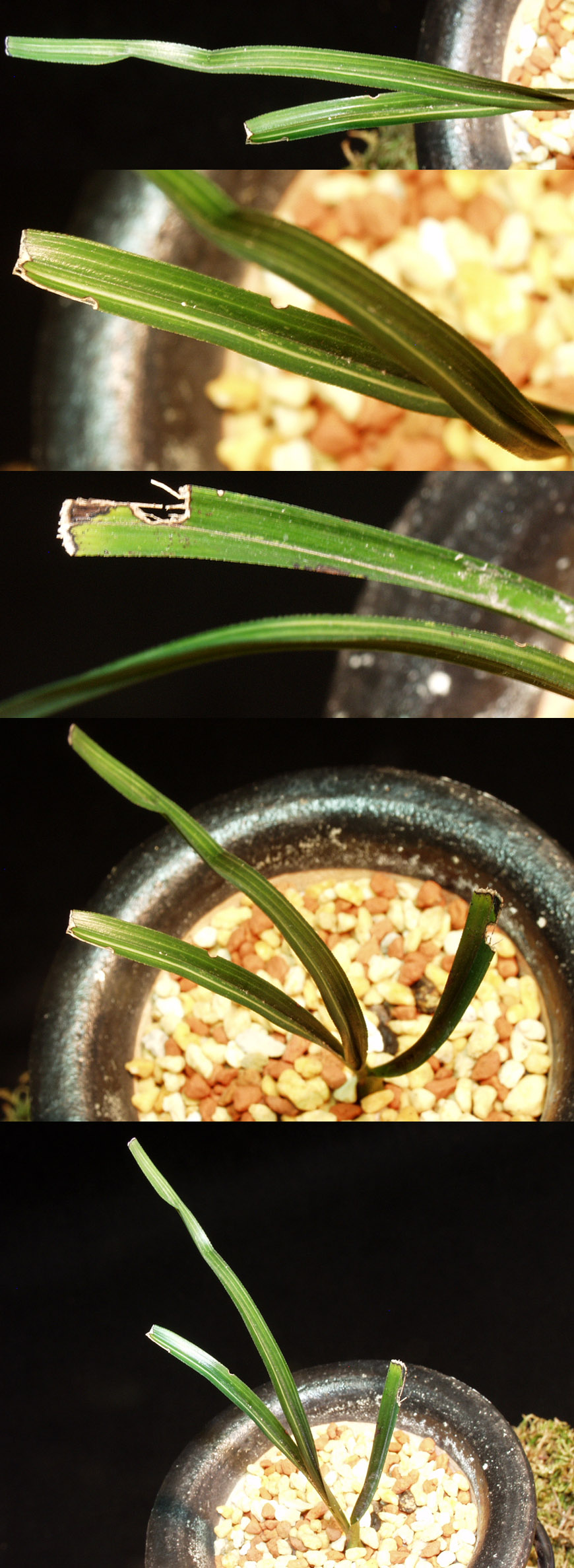 ������ ū������ �� �� �ֽ��ϴ�.