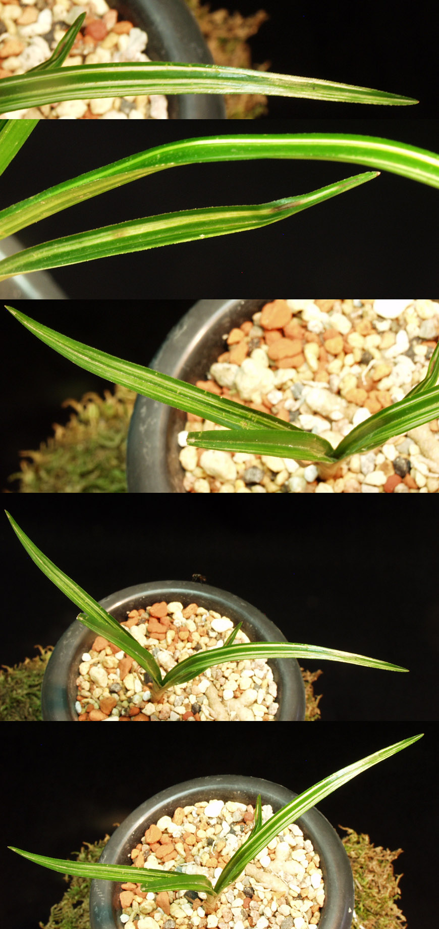 ������ ū������ �� �� �ֽ��ϴ�.