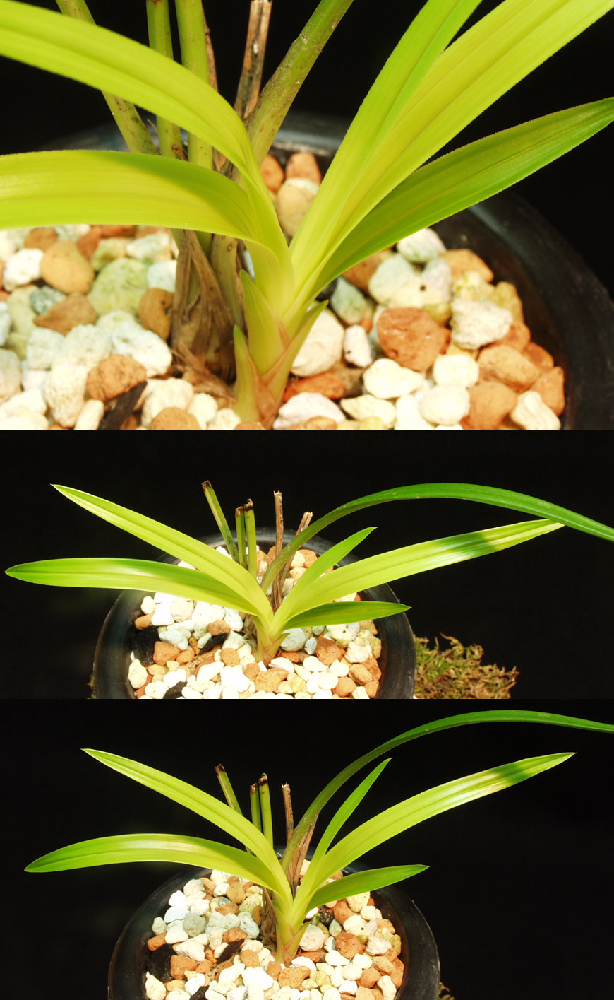 ������ ū������ �� �� �ֽ��ϴ�.