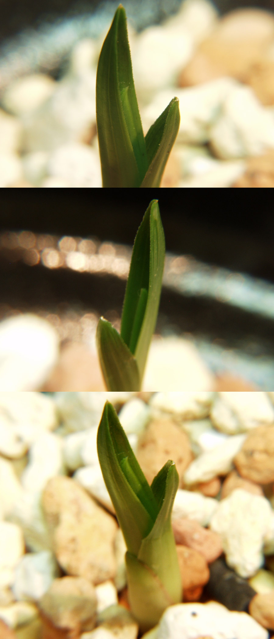 ������ ū������ �� �� �ֽ��ϴ�.