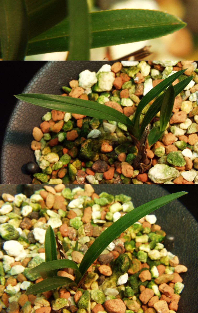 ������ ū������ �� �� �ֽ��ϴ�.